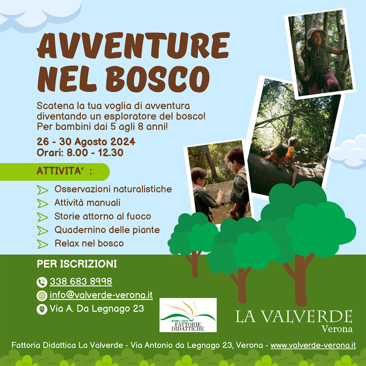 Avventure nel bosco - agosto 2024