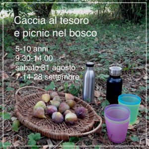 Caccia al tesoro e picnic nel bosco 2024