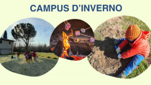 Campus d'inverno