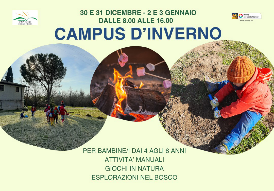 Campus d'inverno