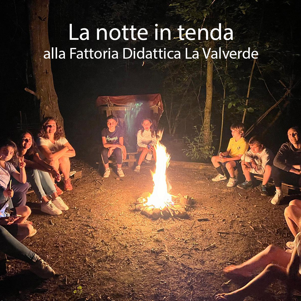 La notte in tenda